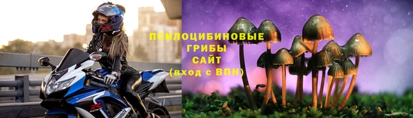 винт Арсеньев