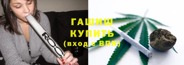 каннабис Ессентукская