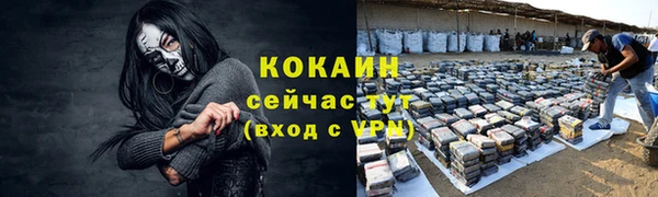 винт Арсеньев