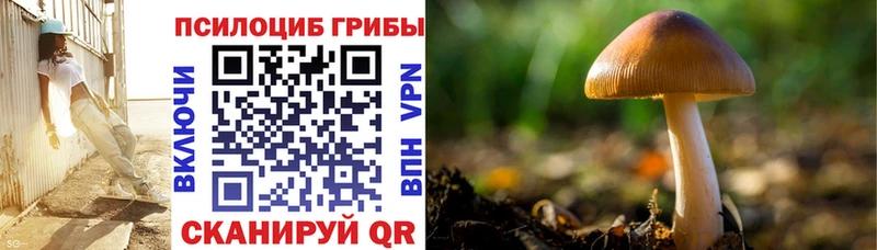 Псилоцибиновые грибы ЛСД  Черкесск 