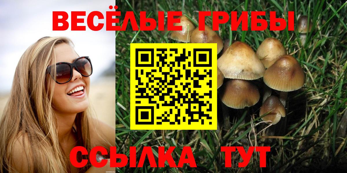 Псилоцибиновые грибы Magic Shrooms Черкесск